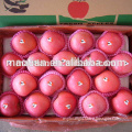 /msite/products/detail/productid/54855540/id/542998.html